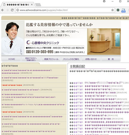 偽サイトの画像