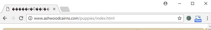 偽サイトのURL(一例)